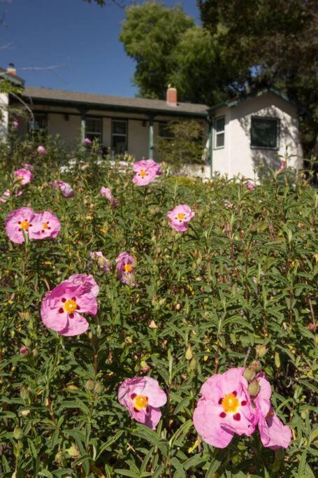 Wine Country Bungalow Atascadero Exterior foto